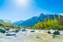 معمای توهم نوری: اگر تیزبین هستید در کمتر از ۱۴ ثانیه گراز را در این تصویر پیدا کنید!