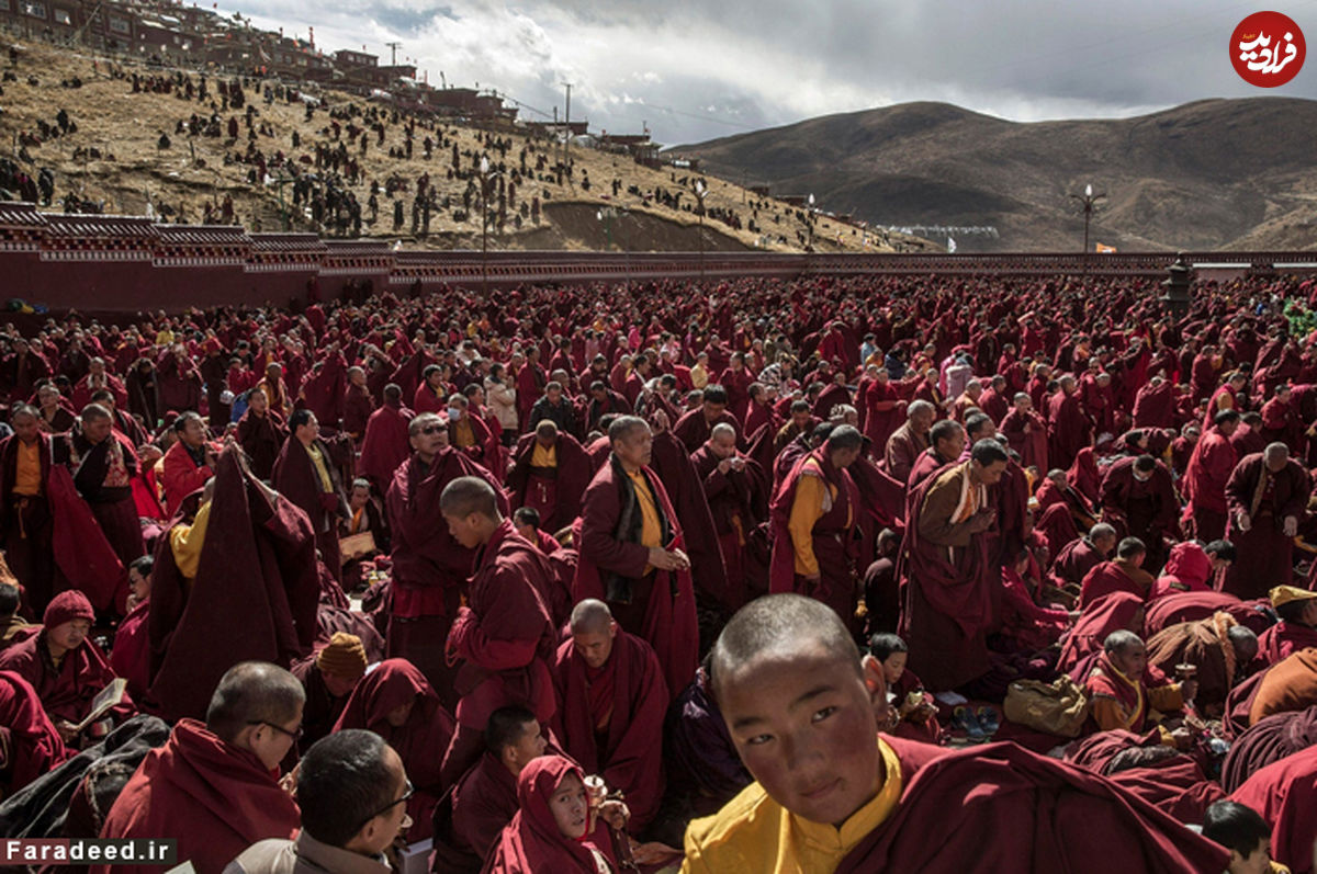 (تصاویر)هزاران بودائی در جستجوی روشنائی
