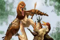 کشف یک دایناسور چهاربال در چین!