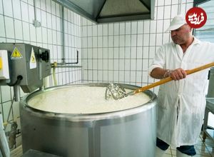 (ویدئو) فرآیند تولید شگفت انگیز پنیر گوسفندی و گاوی در کارخانه