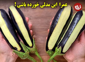 (ویدئو) دستور پخت یک غذای لذیذ و جدید با «بادمجان و سبزیجات»