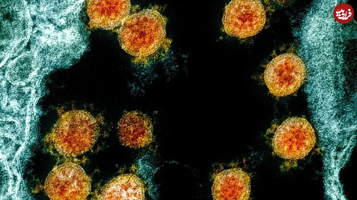 ویروس‌های جهش‌یافته کرونا؛ آنچه می‌دانیم و نمی‌دانیم