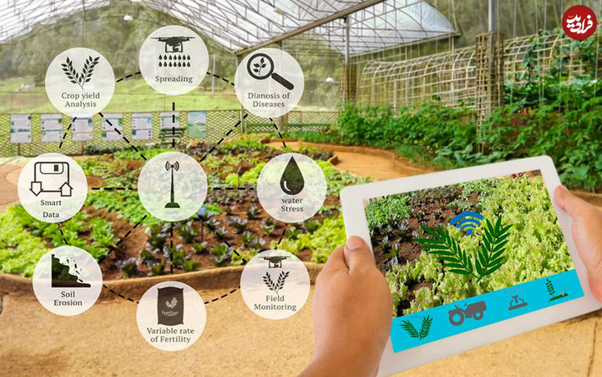 از "کشاورزی دیجیتال" چه می‌دانید؟
