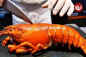 ببینید؛ غذای خیابانی در آمریکا؛ پخت غذا با خرچنگ در نیویورک
