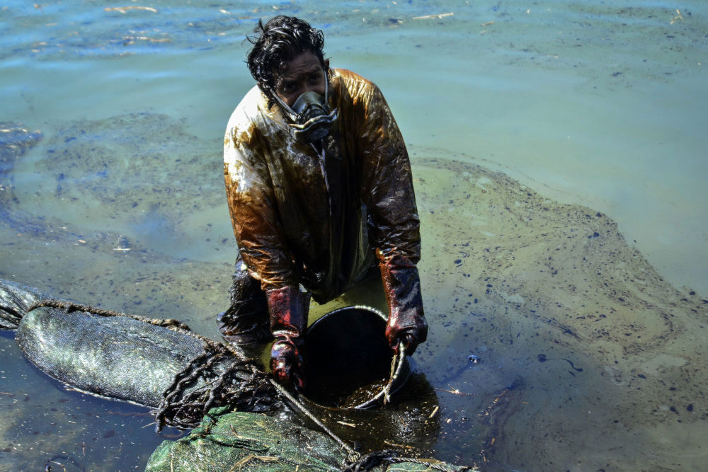 تصاویر/ نشت نفت در جزیره موریس