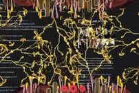 سورپرایز گوگل برای طرفداران The Last of Us: حمله قارچ‌ها را با جستجوی نام سریال تجربه کنید