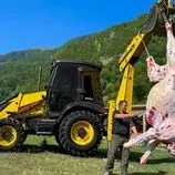 ببینید| غذای روستایی در آذربایجان؛ کباب کردن گوشت شتر توسط آشپز ماهر روستایی