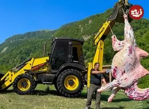 ببینید| غذای روستایی در آذربایجان؛ کباب کردن گوشت شتر توسط آشپز ماهر روستایی