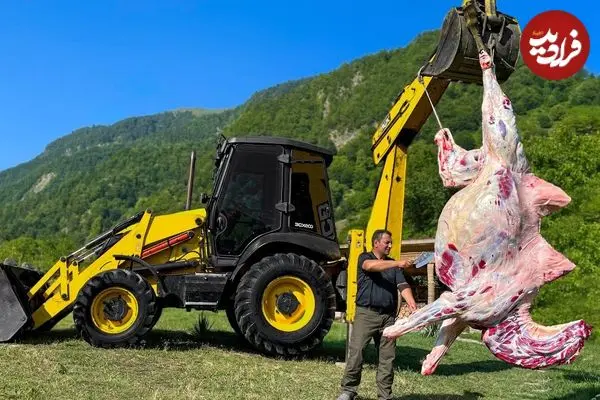 ببینید| غذای روستایی در آذربایجان؛ کباب کردن گوشت شتر توسط آشپز ماهر روستایی