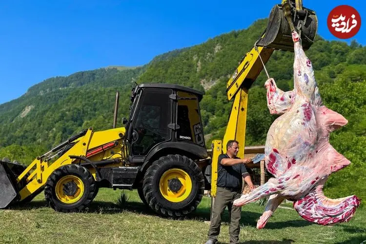 ببینید| غذای روستایی در آذربایجان؛ کباب کردن گوشت شتر توسط آشپز ماهر روستایی