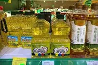 وقتی "کُلزا"  ارزش طلا پیدا می‌کند