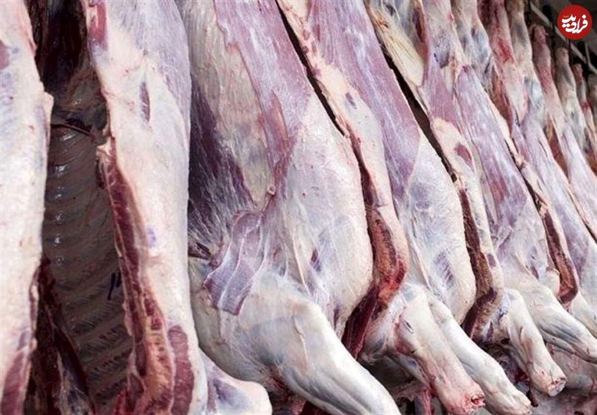 ماجرای فروش گوشت اسب و الاغ چیست؟!