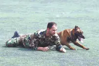سگ‌هایی در جست‌وجوی مجرمان
