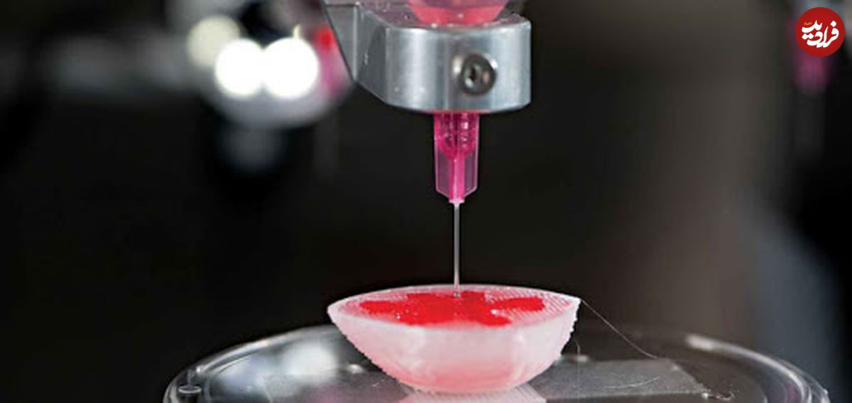 چاپ سه بعدی سلول زنده