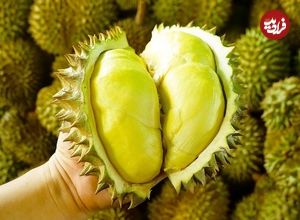 ببینید؛ سرعت و مهارت تماشایی میوه فروش تایوانی در برش دوریان 