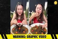 (ویدئو) بازداشت خانم معلم به جرم خوردن خفاش؛ این زن ۵ سال زندانی می‌شود!