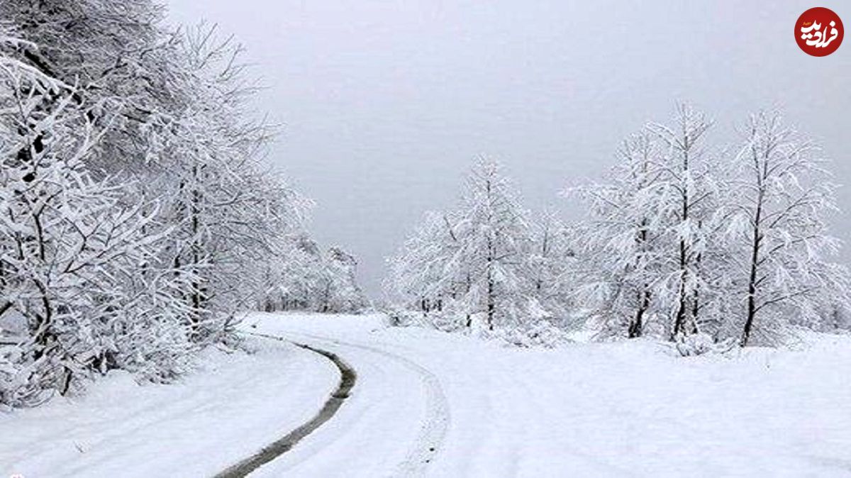 (ویدئو) بارش زیبای برف زمستانی در روستای تکه