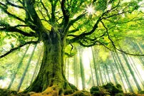 یک زمین بیشتر نداریم