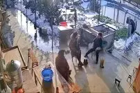 (ویدئو) فرار دسته جمعی از پنجه های عزرائیل