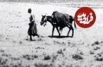 عکس| سفر به ایران قدیم؛ چشم‌انداز اردوی سلطنتی در «رباط کریم»؛ 135 سال قبل