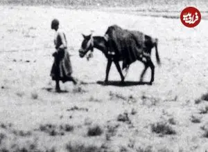 عکس| سفر به ایران قدیم؛ چشم‌انداز اردوی سلطنتی در «رباط کریم»؛ 135 سال قبل