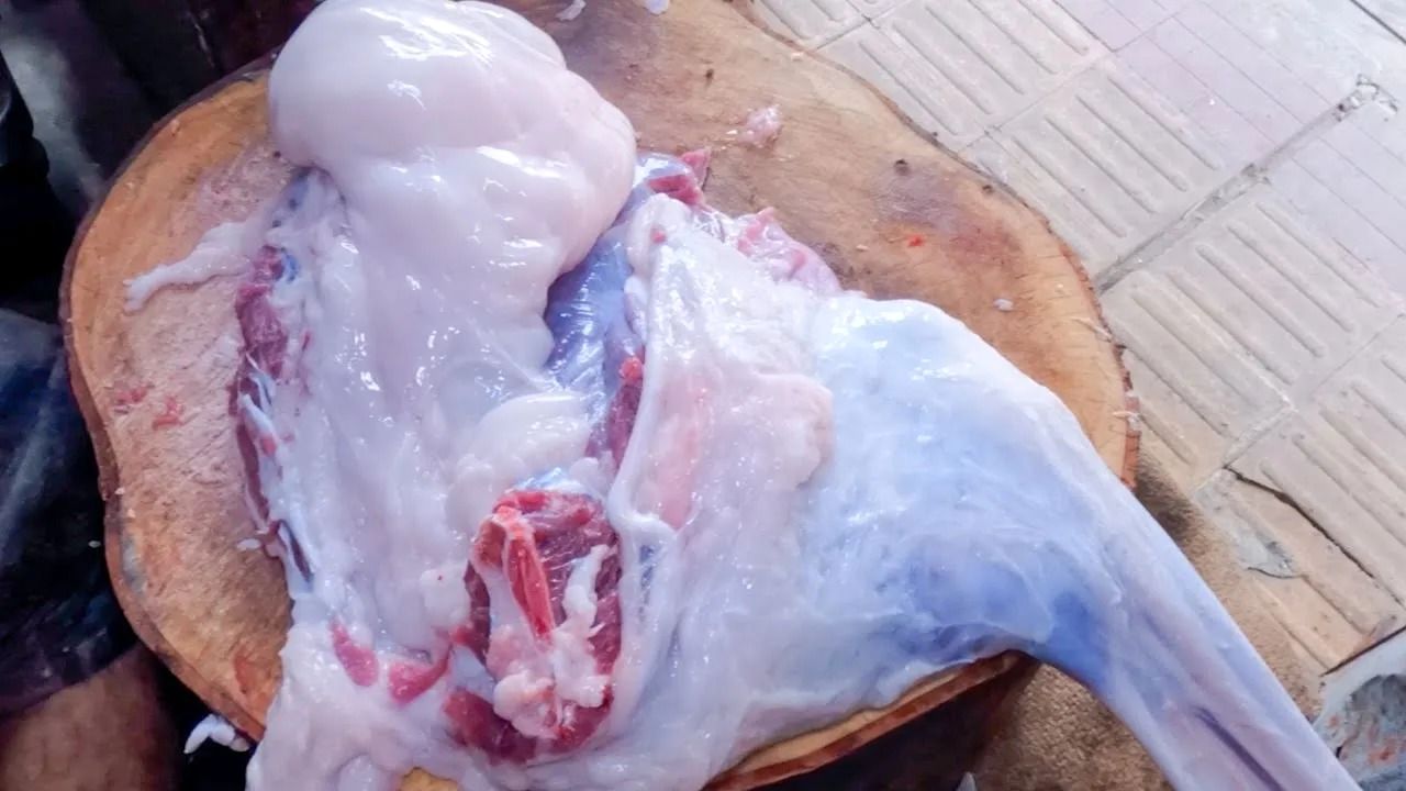 (ویدئو) برش زدن جالب و دیدنی یک گوسفند 22 کیلوگرمی توسط استاد بنگلادشی