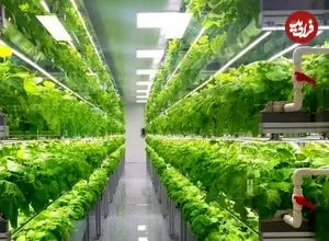 ژاپن چگونه با فناوری، بحران غذا و کمبود آب را به فرصت تبدیل کرد؟