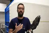 پهپاد‌هایی که با پرندگان واقعی مو نمی‌زنند