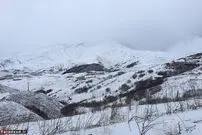تصاویر/ سرزمین ناشناخته با ساکنان ایرانی