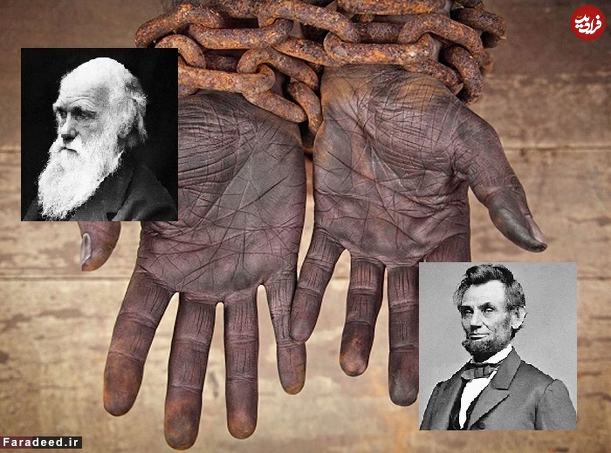 داروین، لینکلن و جنبش "مخالفت با برده‌داری"