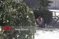 عکس/ یکی از مظنونان حمله تروریستی در حرم امام