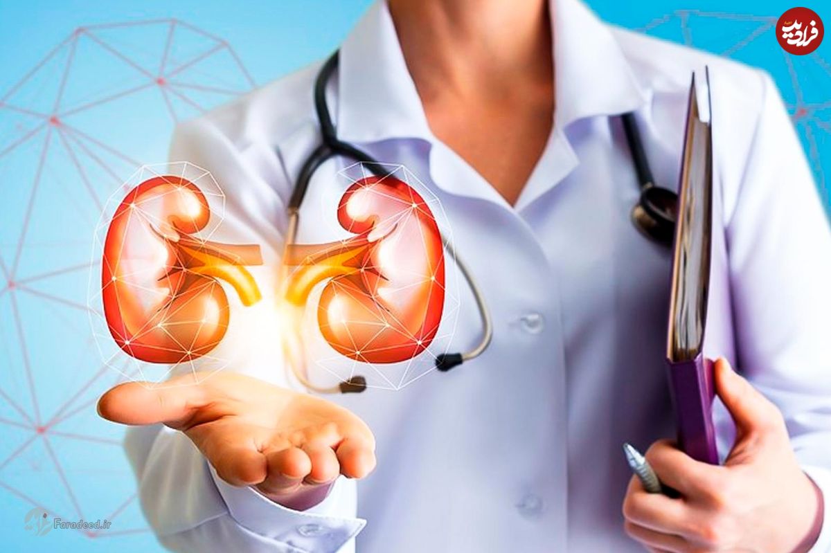 چگونه سموم کلیهها را پاکسازی کنیم؟