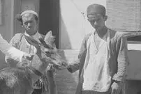 (تصاویر) سفر به عصر قاجار؛ از عکس یادگاری با گوزن تا خرمن‌کوبی با الاغ