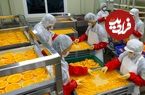 (ویدئو) فرآیند خشک کردن و بسته بندی جالب «پرتقال» در یک کارخانه کره ای