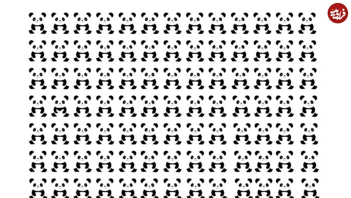 تست تمرکز بینایی پاندا؛ آیا می‌توانید پاندای متفاوت در تصویر را در ۸ ثانیه پیدا کنید؟