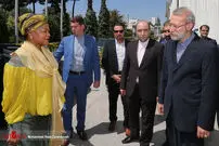 تصاویر/ دیدار روسای مجالس ایران و آفریقای جنوبی