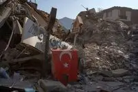 (ویدئو) گوسفندان پس از هفده روز از زلزله زنده بیرون آمدند!
