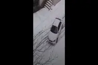 (ویدئو) لیز خوردن دنا در روز برفی و برخورد با یک سمند