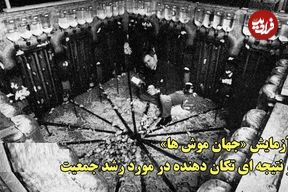 ببینید؛ آزمایش «جهان موش‌ها» و نتیجه‌ای تکان دهنده در مورد رشد جمعیت؛ هشدار جدی به انسان