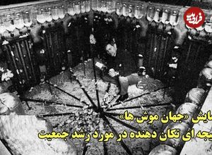ببینید؛ آزمایش «جهان موش‌ها» و نتیجه‌ای تکان دهنده در مورد رشد جمعیت؛ هشدار جدی به انسان