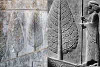 اینفوگرافی؛ سفر در زمان؛ چرا اجداد ما ایرانیان به درخت سرو بسیار بها می‌دادند؟