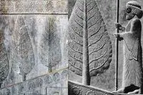 اینفوگرافی؛ سفر در زمان؛ چرا اجداد ما ایرانیان به درخت سرو بسیار بها می‌دادند؟