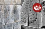 اینفوگرافی؛ سفر در زمان؛ چرا اجداد ما ایرانیان به درخت سرو بسیار بها می‌دادند؟
