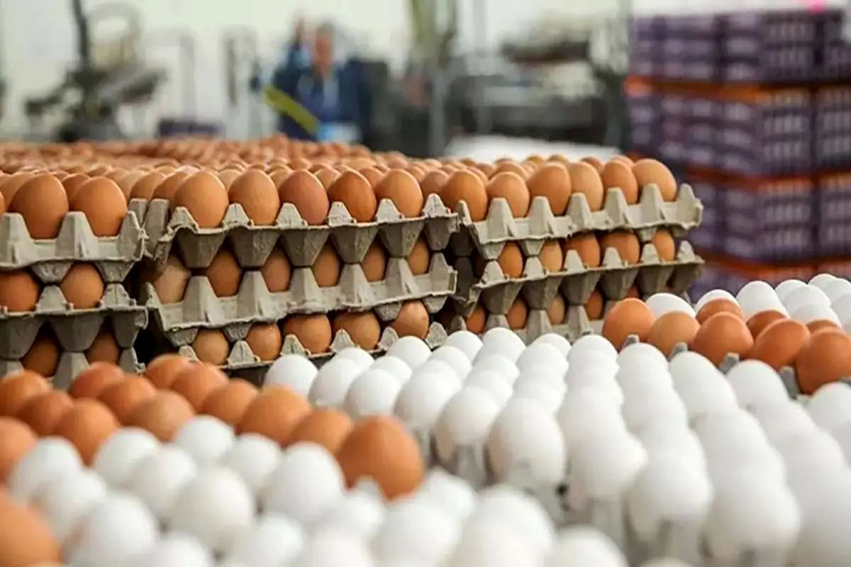 (عکس) خلاقیت عجیب یک بقال برای جلوگیری از سرقت تخم مرغ 