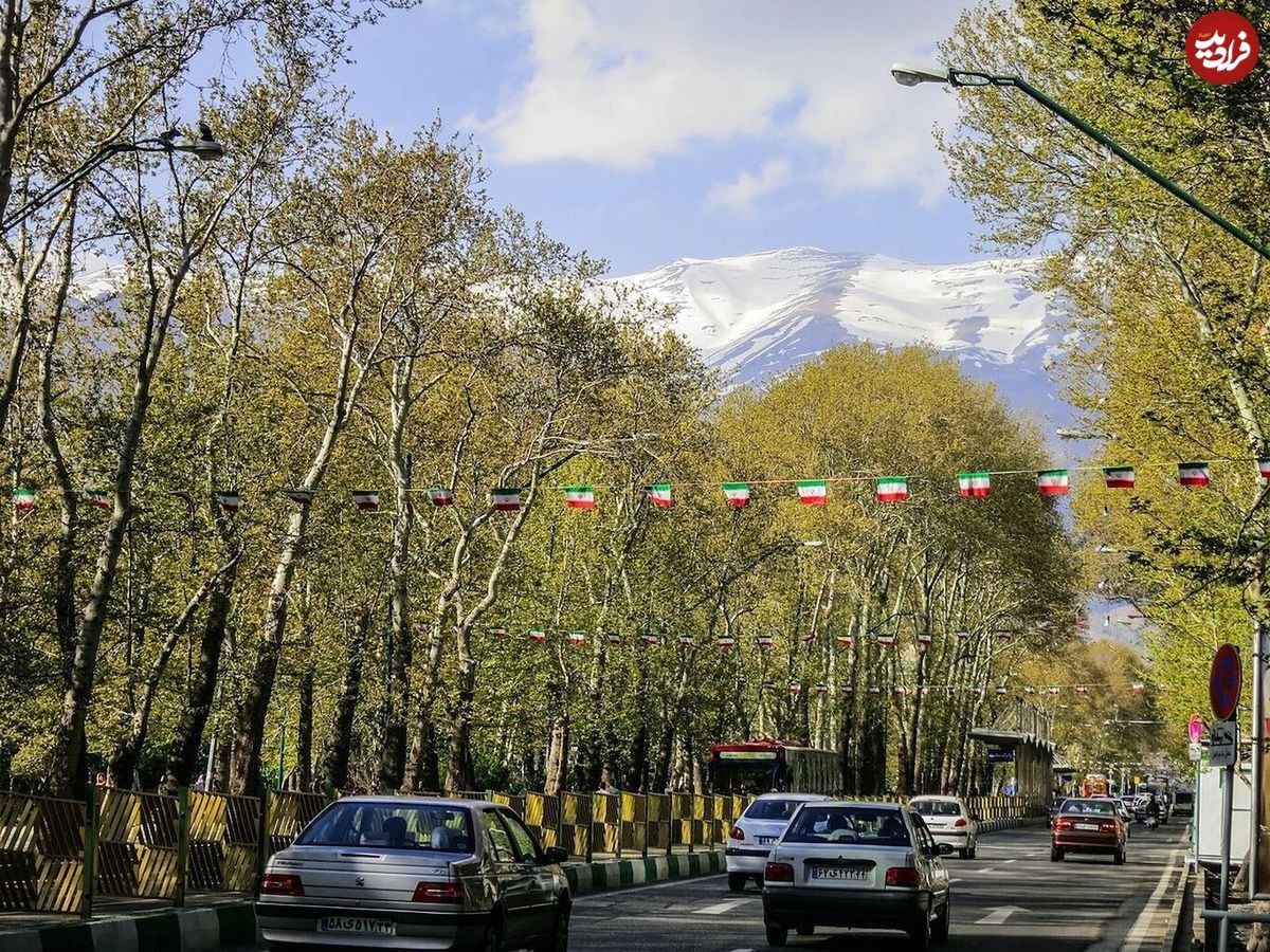 (عکس) وقتی چهارراه ولیعصر تهران شبیه یک جنگل بود