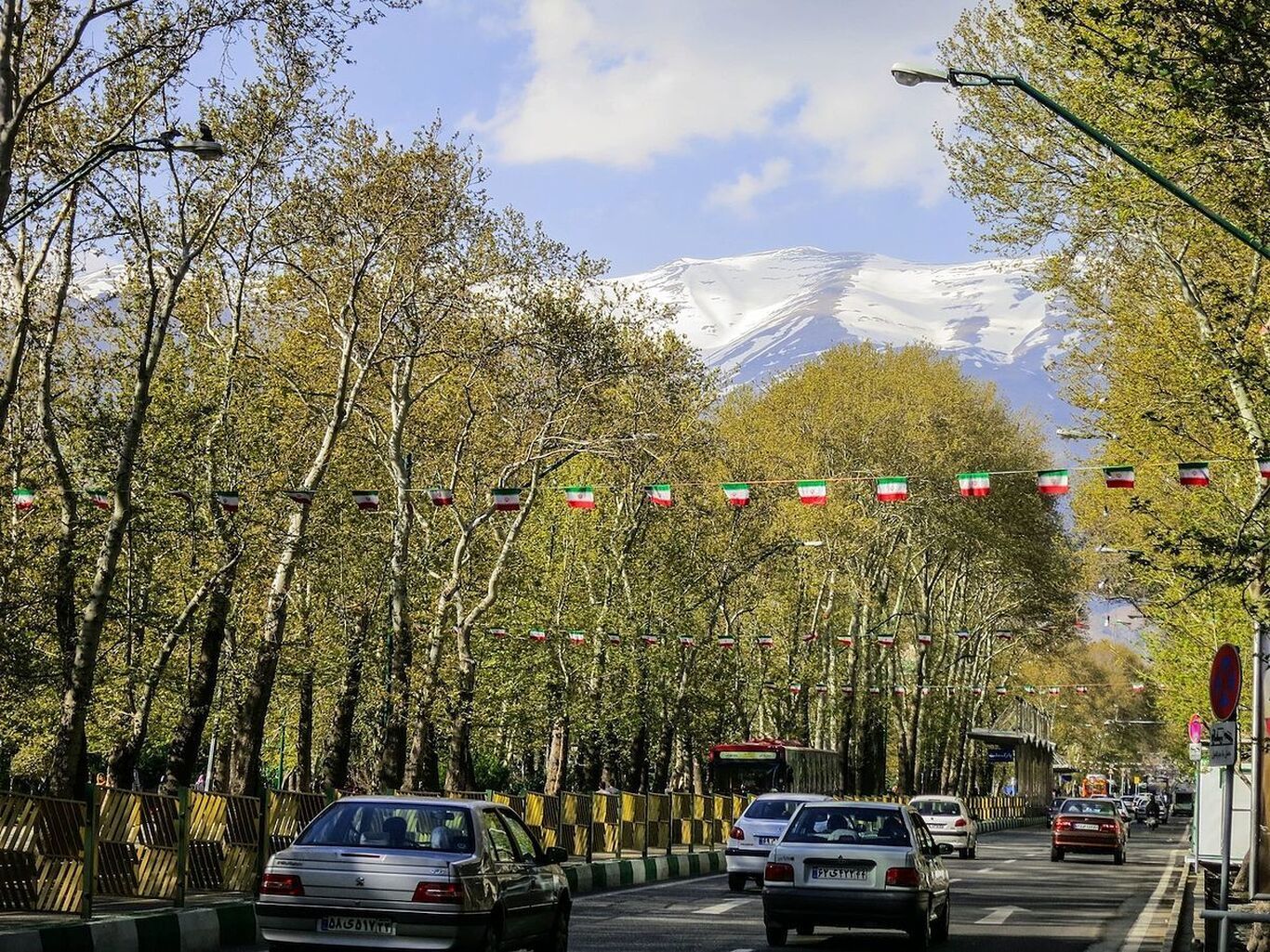(عکس) وقتی چهارراه ولیعصر تهران شبیه یک جنگل بود