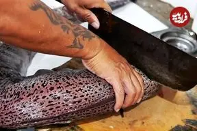 ببینید| غذای خیابانی در ویتنام؛ پخت غذا با مارماهی مورای غول پیکر در هانوی