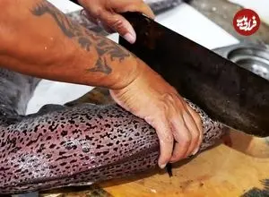 ببینید| غذای خیابانی در ویتنام؛ پخت غذا با مارماهی مورای غول پیکر در هانوی