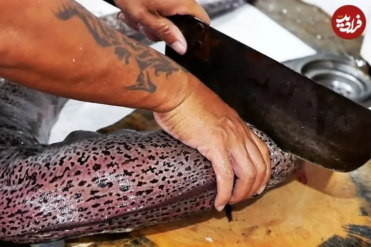 ببینید| غذای خیابانی در ویتنام؛ پخت غذا با مارماهی مورای غول پیکر در هانوی