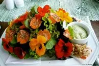 تصاویر/ گل‌های خوراکی و خواص آن‌ها